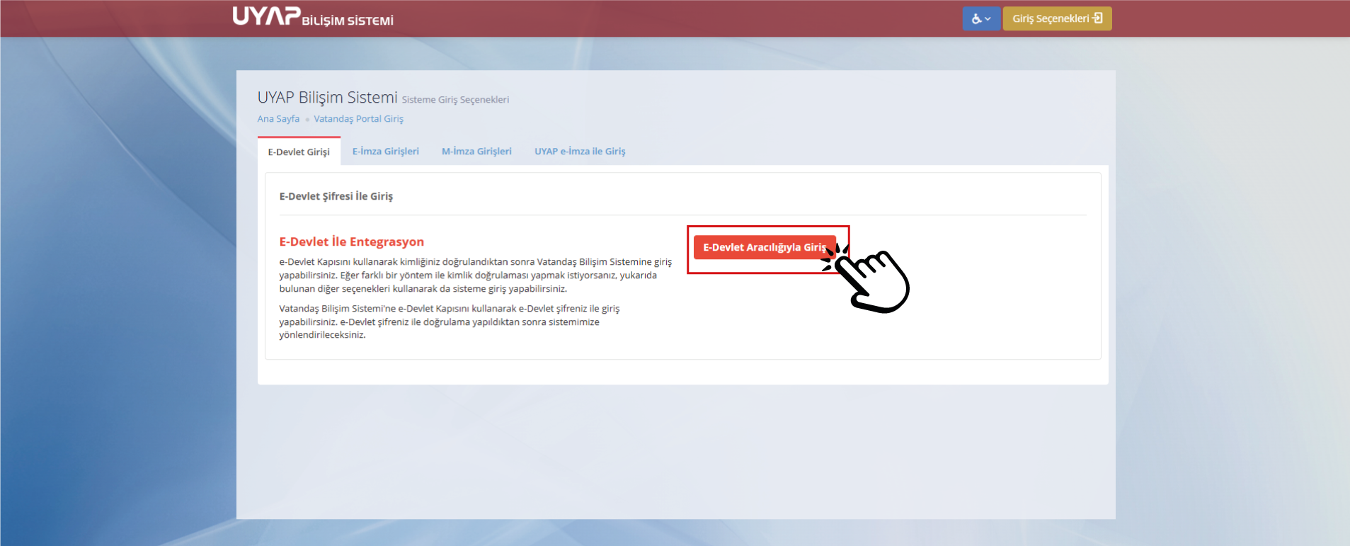 e-Devlet Giriş Seçeneği